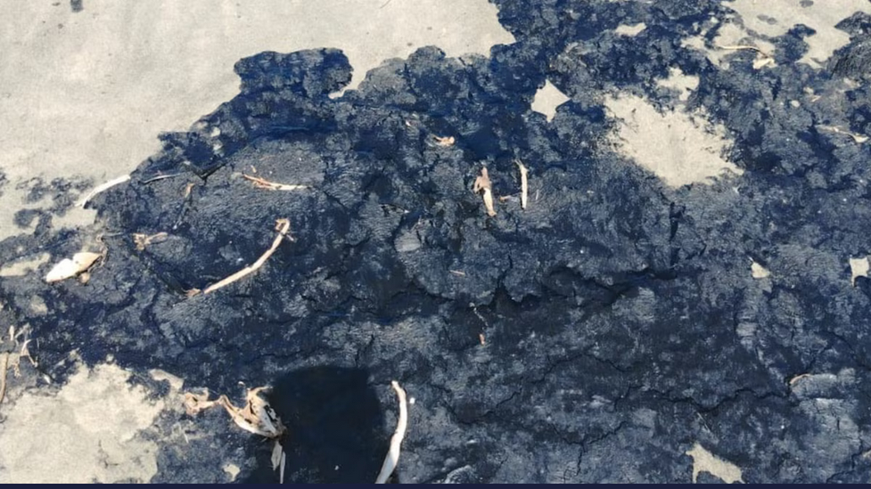 Greenpeace México advierte sobre peligros sanitarios por contaminación petrolera en litoral veracruzano