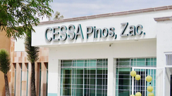 Propuesta de reforma electoral 2026 divide al bloque gobernante y pone en jaque a la 4T