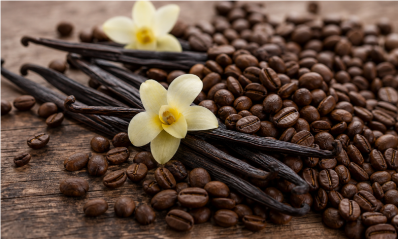 Autoridades de Veracruz promueven venta de café y vainilla a Canadá