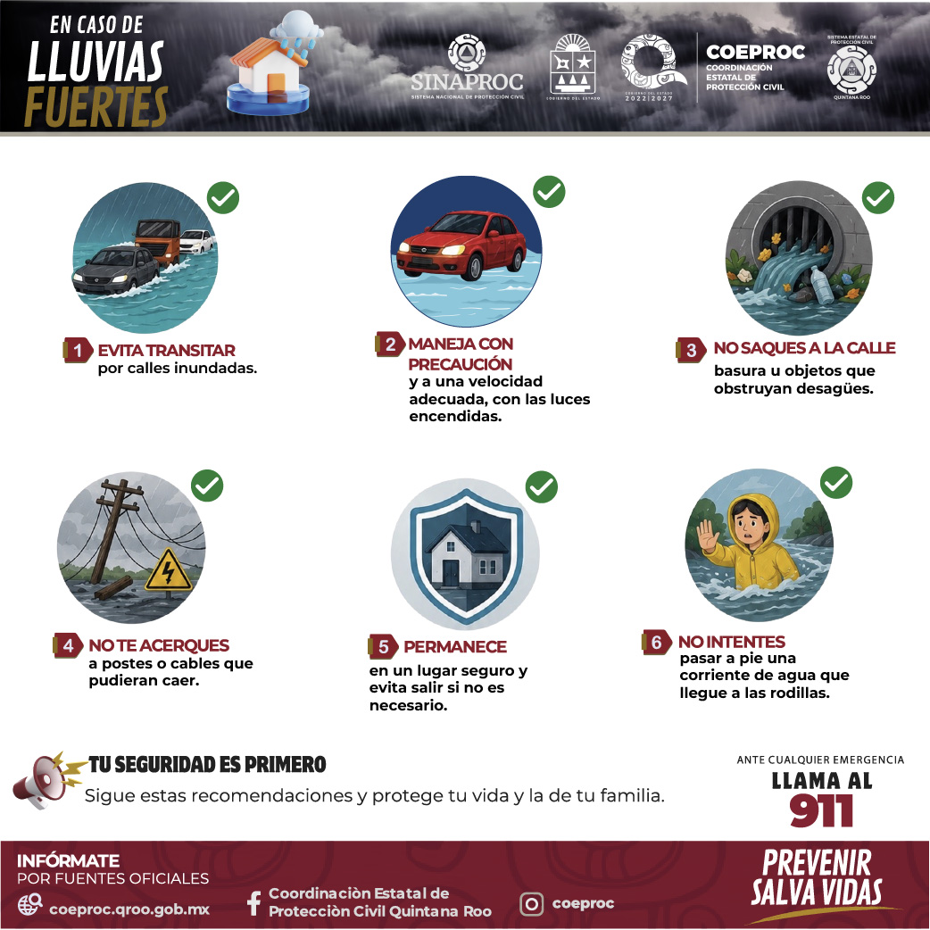 El PVEM consolida su alianza con la 4T y proyecta ganar cuatro gubernaturas en 2027